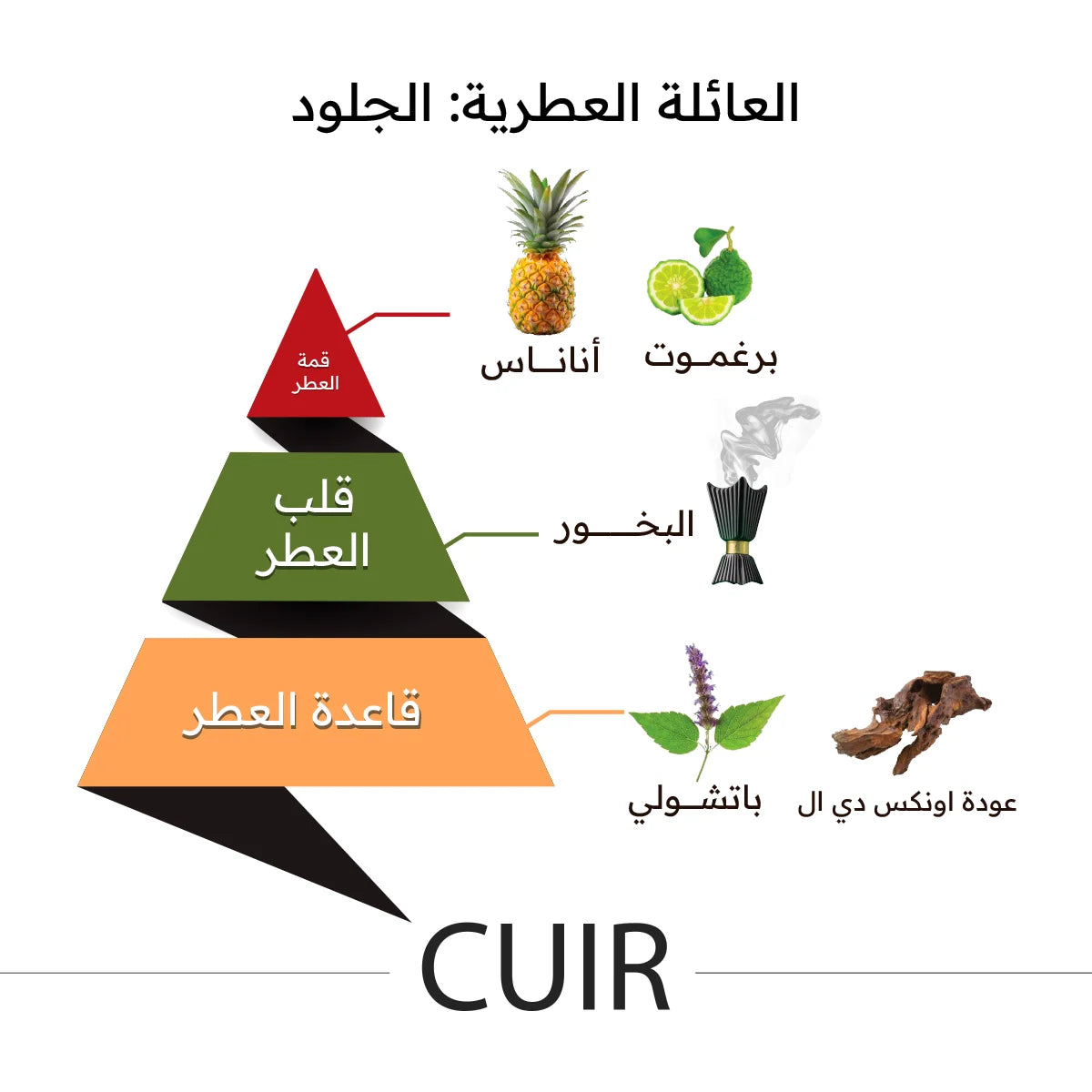 Cuir perfume from the Classic collection, 150ML Eau de Parfum