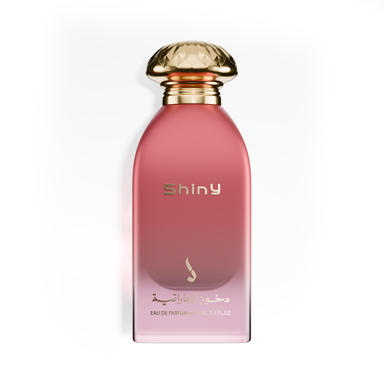 SHINY 100ml